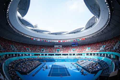下一站上海大师赛,这位亚运网球裁判的 四朝元老 ,看好匹克球运动发展